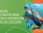 Fundação Grupo Boticário e Unesco oferecem bolsas de R$ 10 mil para produção de reportagens sobre o oceano