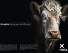 NotCo lança campanha feita por IA que revela vida plena dos animais